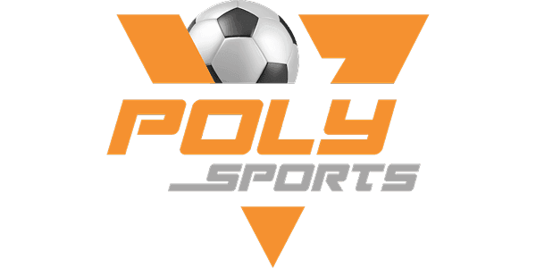 POLY-COLOR গেমিং logo